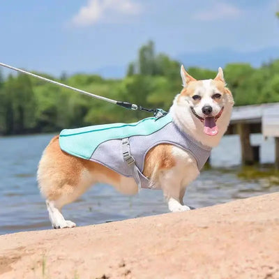 Breathable Dog Cooling Vest Teamdrop