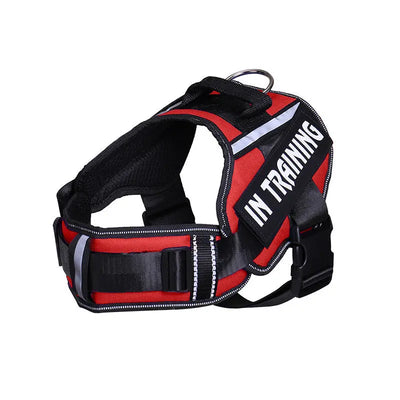 Reflective Dog Chest Harness & Lead Set EPROLO