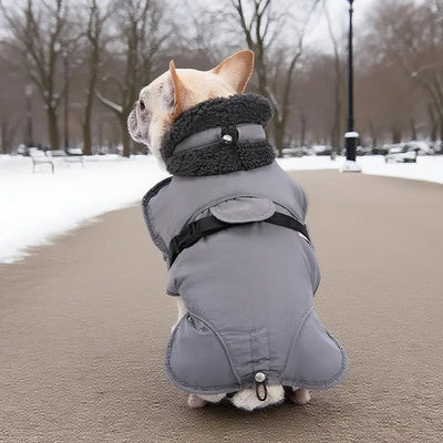 Classic Dog Coat Teamdrop