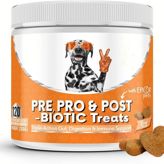 Dog Digestive Health Chewable Tablets Teamdrop