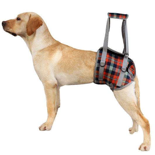 Support Harness for Post-Surgery Recovery, Elderly Dogs, Large Breed Walking Assistance Brace eprolo