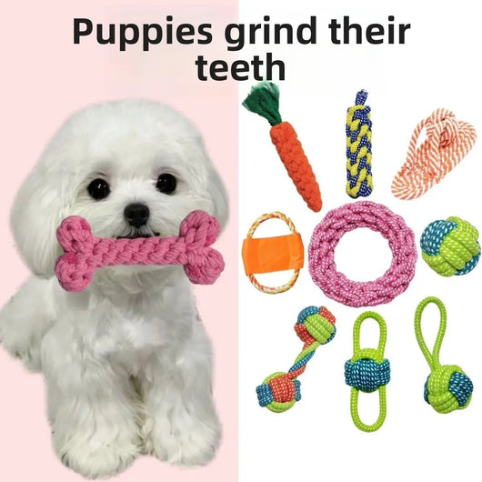 Interactive Dog Chew Toy Teamdrop