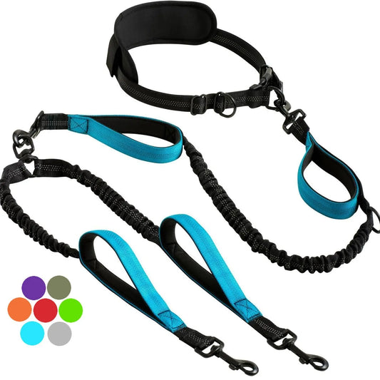 Dual Retractable Dog Lead (Two Dogs) Teamdrop