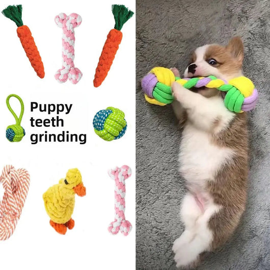 Interactive Dog Chew Toy Teamdrop