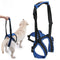 Dog Lift Assist Support Harness