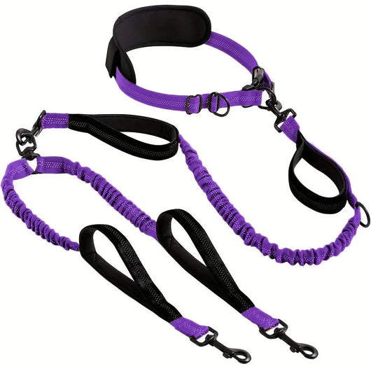 Dual Retractable Dog Lead (Two Dogs) Teamdrop