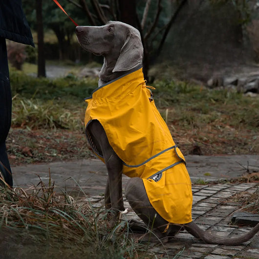 Waterproof Dog Raincoat (Lightweight) Teamdrop