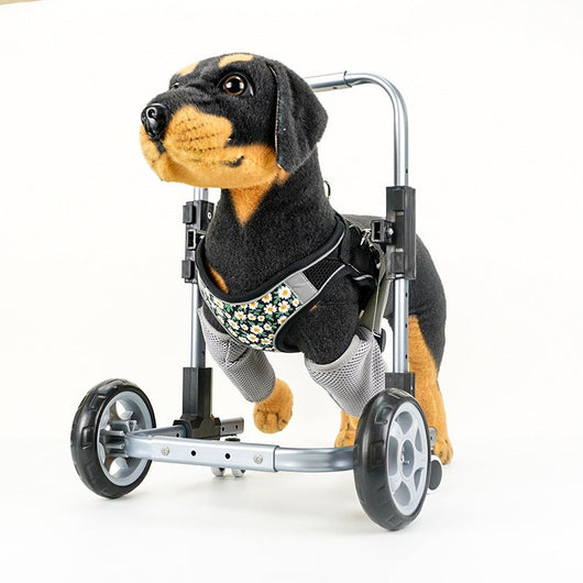 Pet Walker Teamdrop