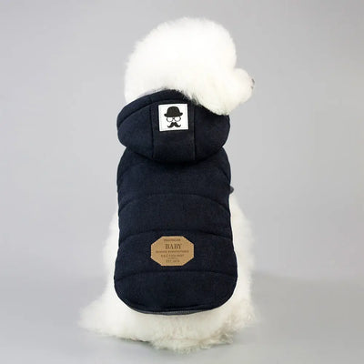 Two-Layer Cotton Dog Coat Teamdrop