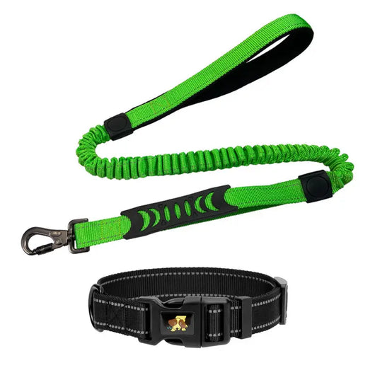 Shock-Absorbing Reflective Retractable Dog Lead Teamdrop