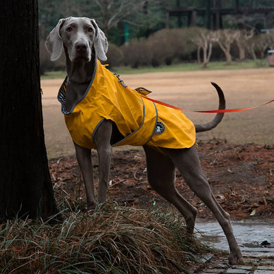 Waterproof Dog Raincoat (Lightweight) Teamdrop