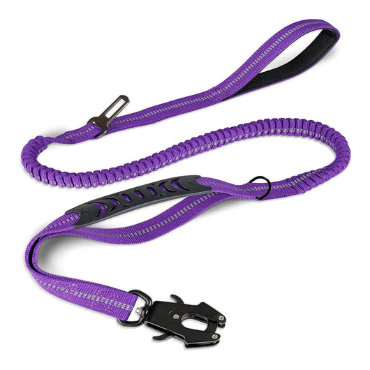 Shock-Absorbing Bungee Dog Lead Teamdrop