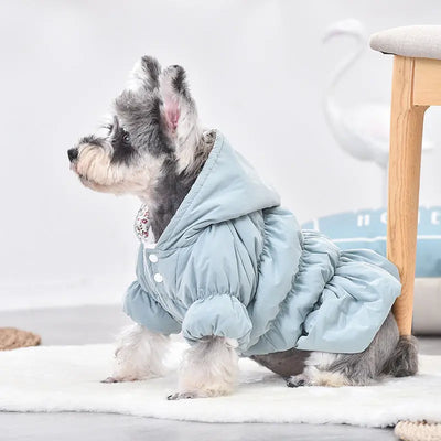 Small Dog Coat Teamdrop