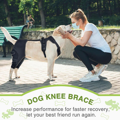 Adjustable Pet Leg Support Guard Teamdrop