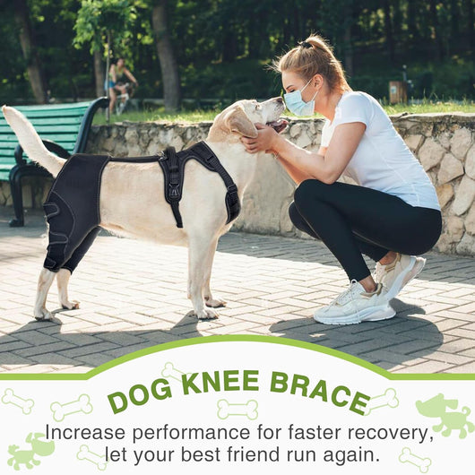 Adjustable Pet Leg Support Guard Teamdrop