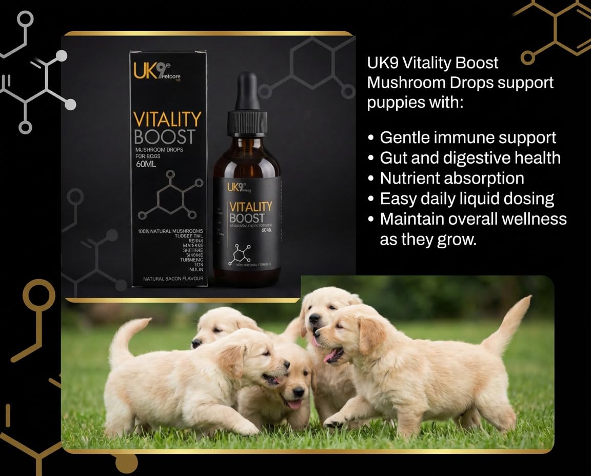UK9 Vitality Boost, Immune Support Vitamins for Dogs, Wild Mushroom for dogs, with Chaga, Shiitake, Turkey Tail, Reishi and Maitake Mushroom Extract, Beta Glucan 60ml easy dosage liquid k9 drops.