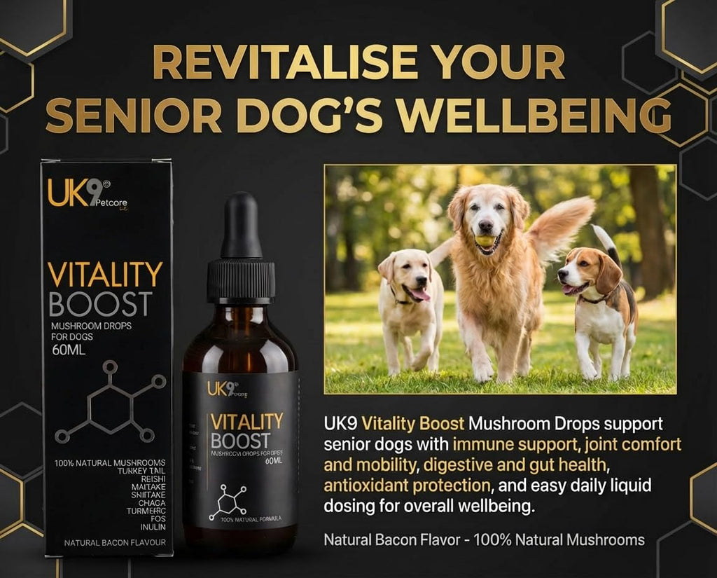 UK9 Vitality Boost, Immune Support Vitamins for Dogs, Wild Mushroom for dogs, with Chaga, Shiitake, Turkey Tail, Reishi and Maitake Mushroom Extract, Beta Glucan 60ml easy dosage liquid k9 drops.