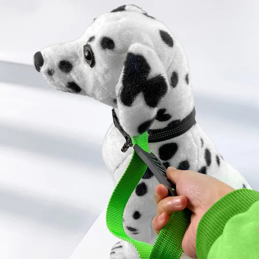 Shock-Absorbing Reflective Retractable Dog Lead Teamdrop