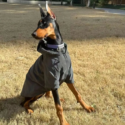 Large Dog Trendy Coat Teamdrop