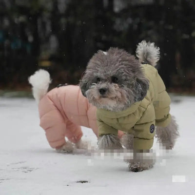 Small Dog Winter Jacket (4-Leg Coverage) Teamdrop