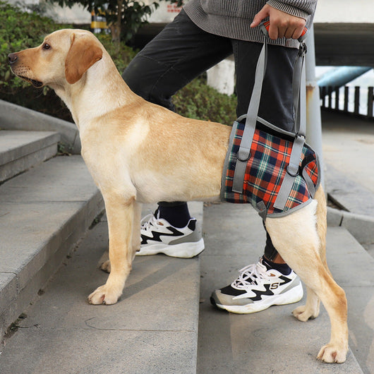 Support Harness for Post-Surgery Recovery, Elderly Dogs, Large Breed Walking Assistance Brace eprolo