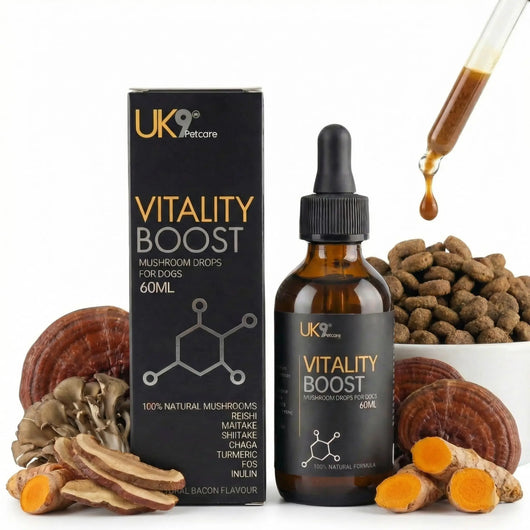 UK9 Vitality Boost — Daily Mushroom + Turmeric Drops (60ml) UK9 Petcare