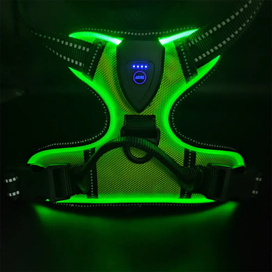 LED Light-Up Dog Harness Teamdrop