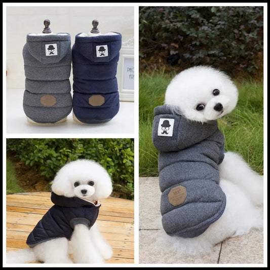 Two-Layer Cotton Dog Coat Teamdrop