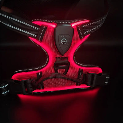 LED Light-Up Dog Harness Teamdrop
