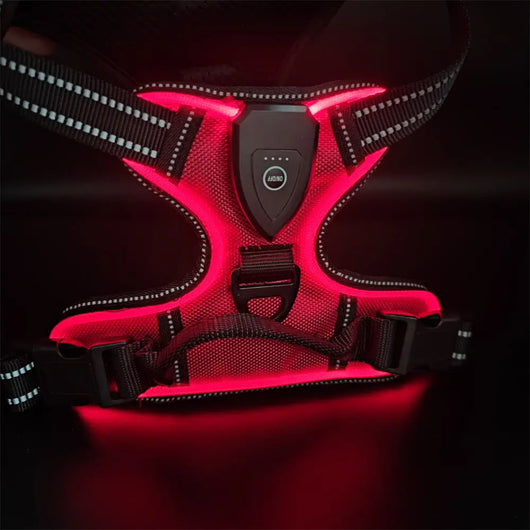 LED Light-Up Dog Harness Teamdrop