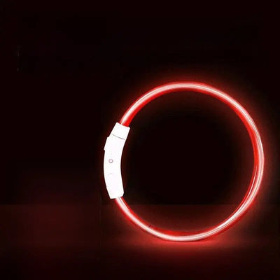LED Glowing Dog Collar Teamdrop