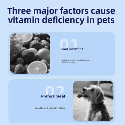 Dog Coat & Hair Health Supplement (Lecithin & Vitamins) Teamdrop