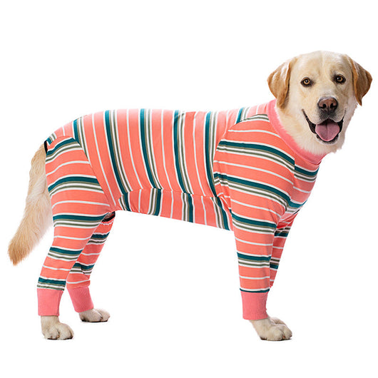 Dog weaning and sterilization suit eprolo