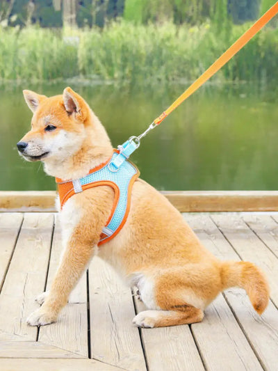 Reflective Breathable Dog Vest Harness & Lead EPROLO