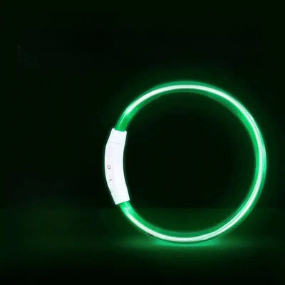LED Glowing Dog Collar Teamdrop