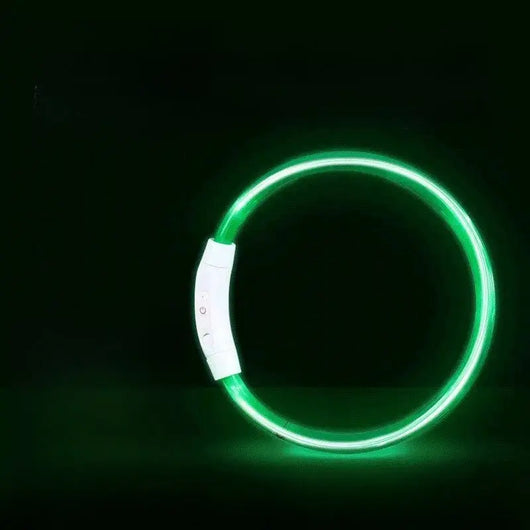 LED Glowing Dog Collar Teamdrop
