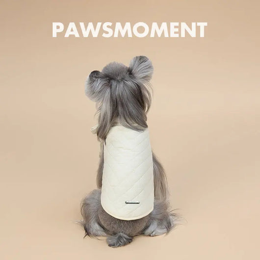 Bow Detail Winter Coat for Small Dogs Teamdrop