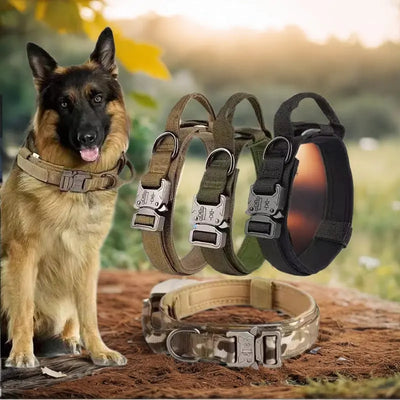 Adjustable Nylon Dog Collar Teamdrop