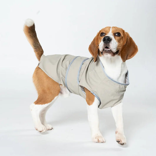 Waterproof Dog Raincoat (Lightweight) Teamdrop