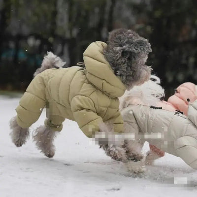 Small Dog Winter Jacket (4-Leg Coverage) Teamdrop