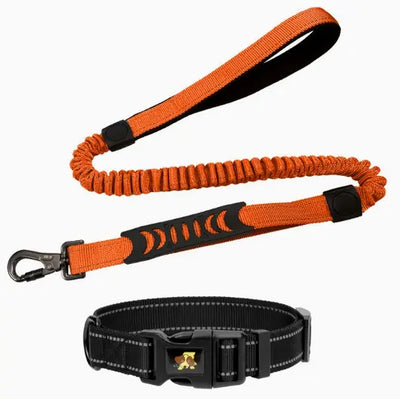 Shock-Absorbing Reflective Retractable Dog Lead Teamdrop