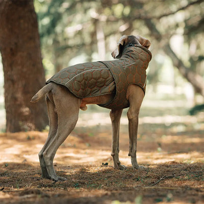 Hunter Style Dog Jacket Teamdrop