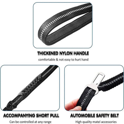 Elastic Dog Leash with Car Safety Clip Teamdrop