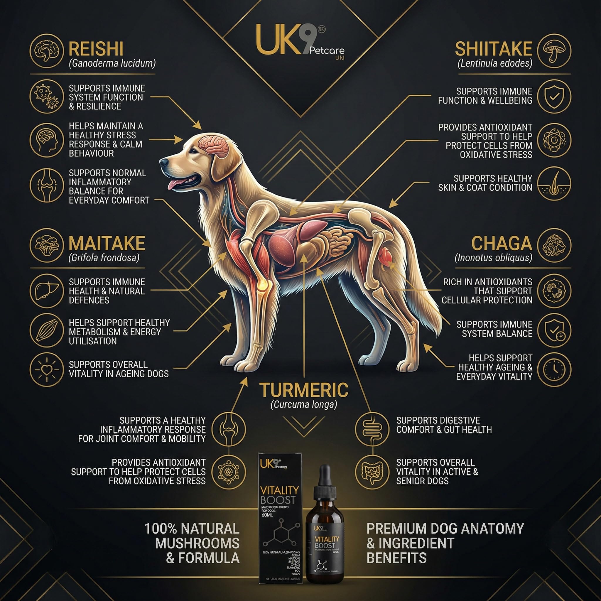 UK9 Vitality Boost, Immune Support Vitamins for Dogs, Wild Mushroom for dogs, with Chaga, Shiitake, Turkey Tail, Reishi and Maitake Mushroom Extract, Beta Glucan 60ml easy dosage liquid k9 drops.