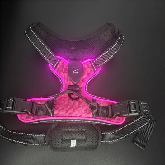 LED Light-Up Dog Harness Teamdrop