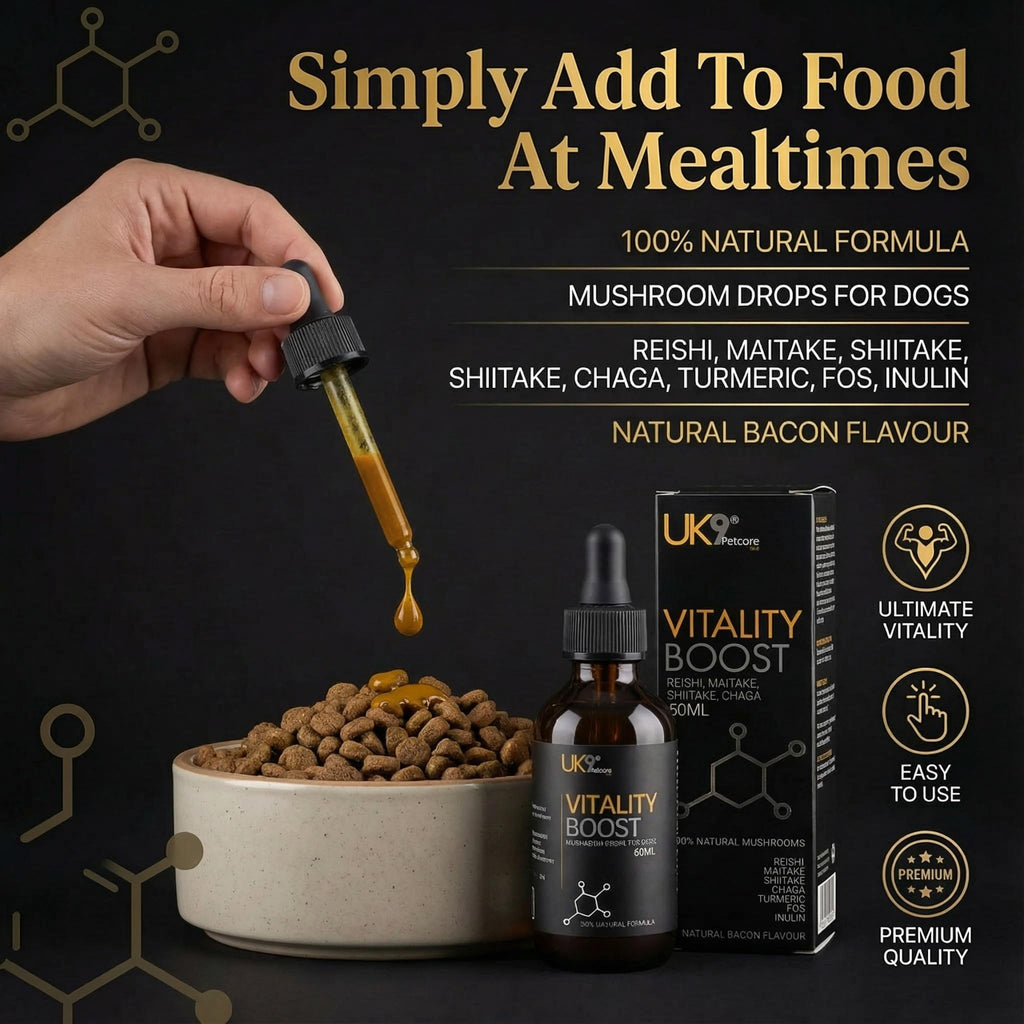 UK9 Vitality Boost, Immune Support Vitamins for Dogs, Wild Mushroom for dogs, with Chaga, Shiitake, Turkey Tail, Reishi and Maitake Mushroom Extract, Beta Glucan 60ml easy dosage liquid k9 drops.