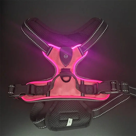LED Light-Up Dog Harness Teamdrop
