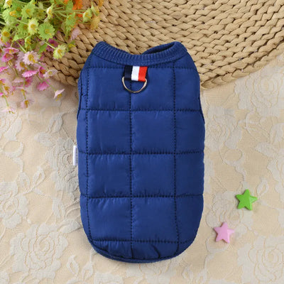 Small Dog Cotton Winter Coat Teamdrop