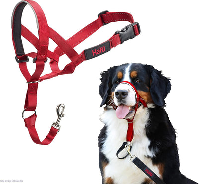 Halti Headcollar, Size 4, Red