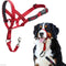 Halti Headcollar, Size 4, Red